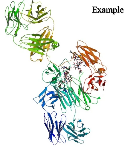 Daratumumab monoklonaal antilichaam voorkomt multipel myeloom